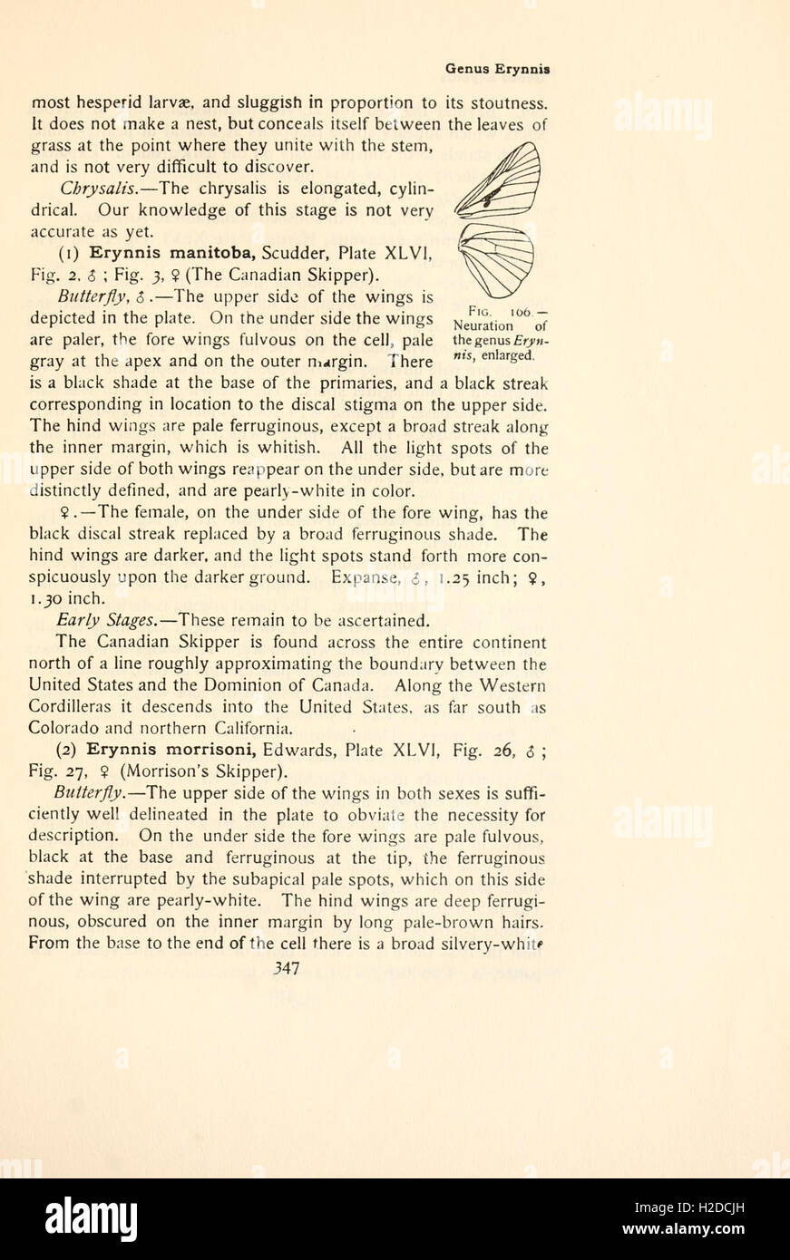 Il libro a farfalla (pagina 347, Fig. 166) Foto Stock