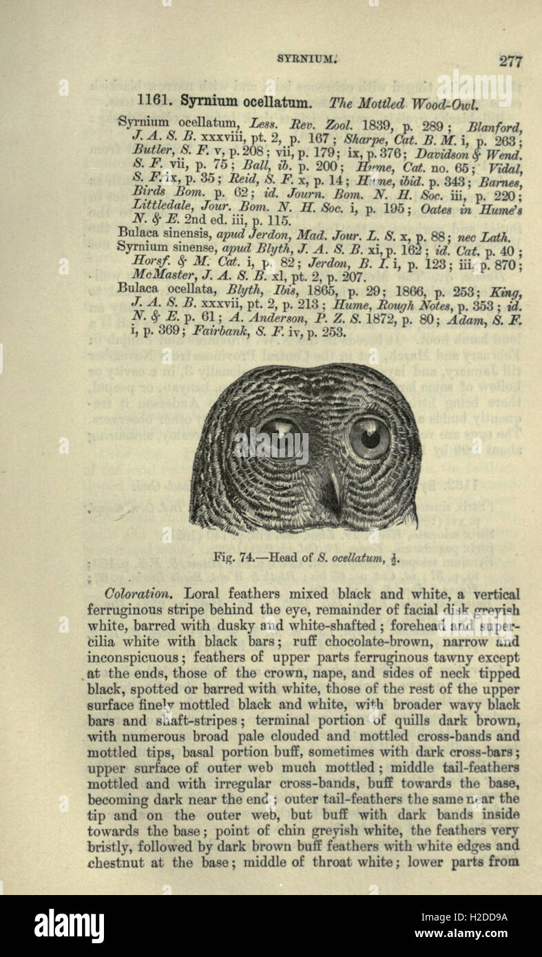 Questo lavoro fornisce una panoramica della fauna dell'India britannica, comprese le specie di Ceylon e Birmania, concentrandosi sulla classificazione e l'habitat. Foto Stock