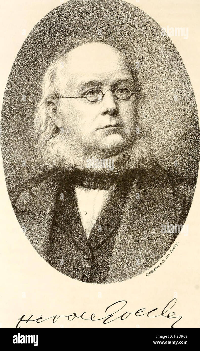 Un memoriale di Horace Greeley (1873) (1 Foto Stock