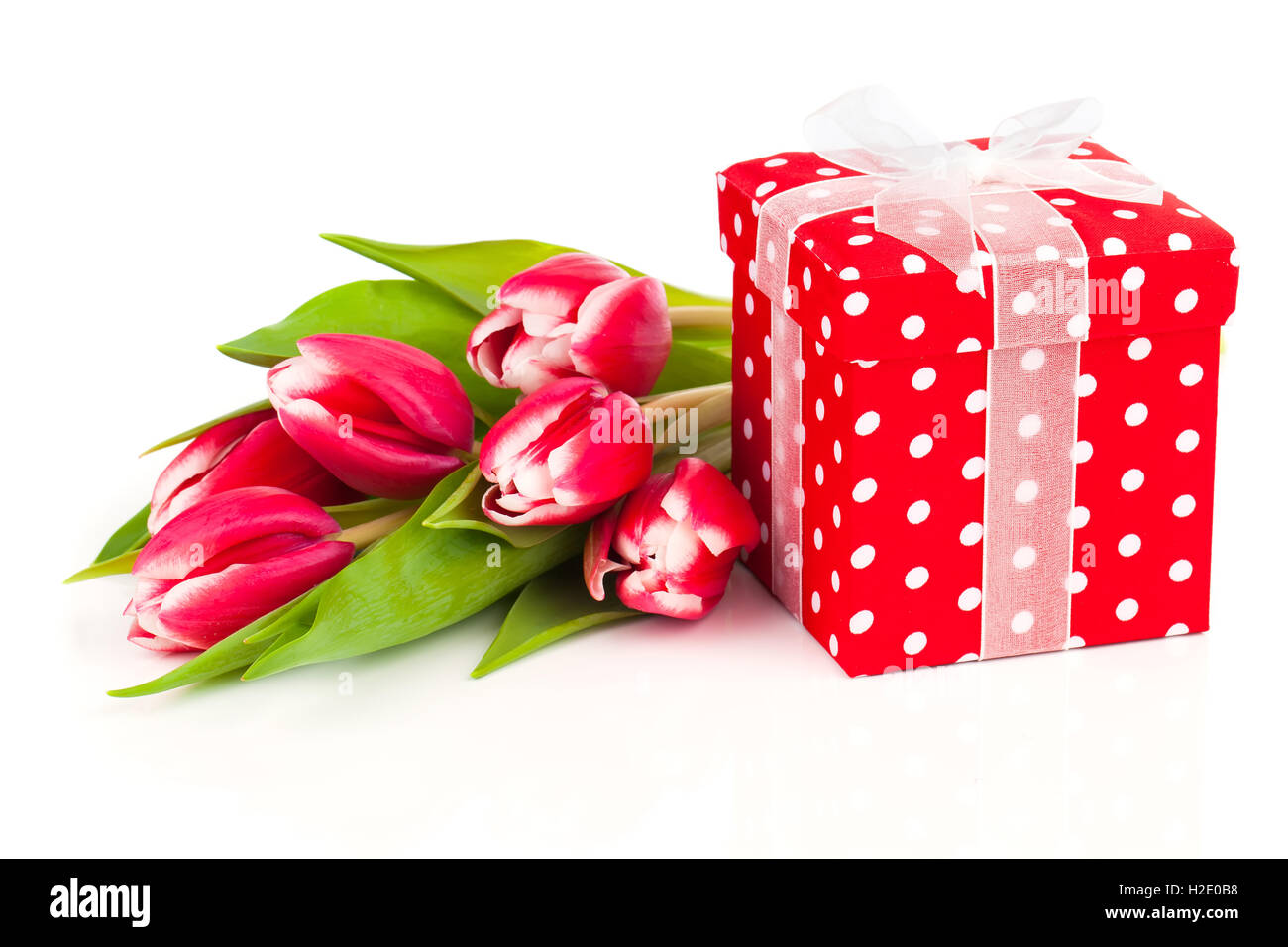 Bellissimi i tulipani con red polka-dot confezione regalo. felice festa della mamma, Foto Stock