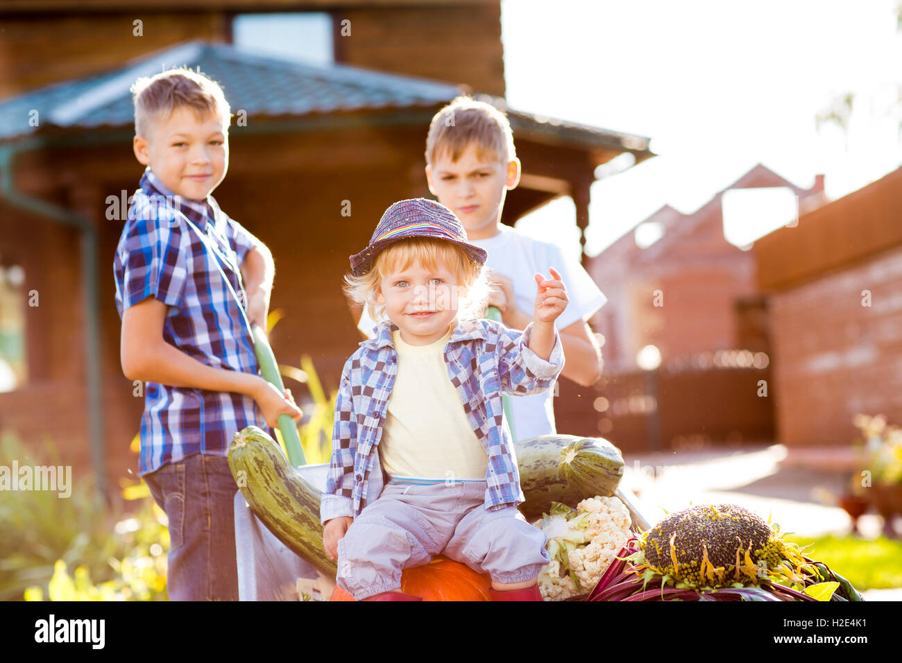 Tre bambini fratelli come giardinieri. Bambino Ragazzo seduto sulla carriola con harvest Foto Stock