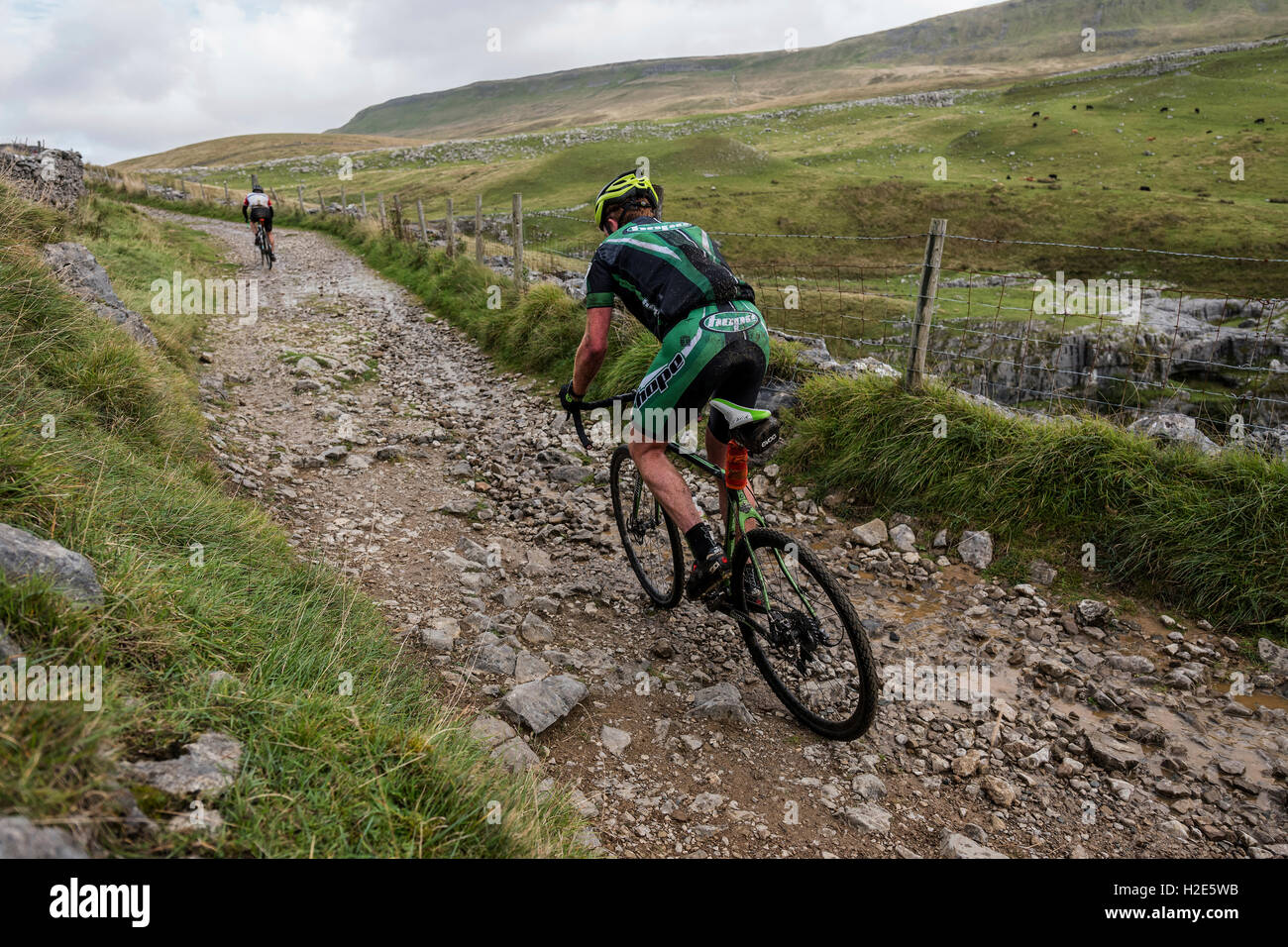 Un cavaliere Penyghent arrampicata nel 2016 3 picchi ciclocross, Yorkshire Dales, UK. Foto Stock