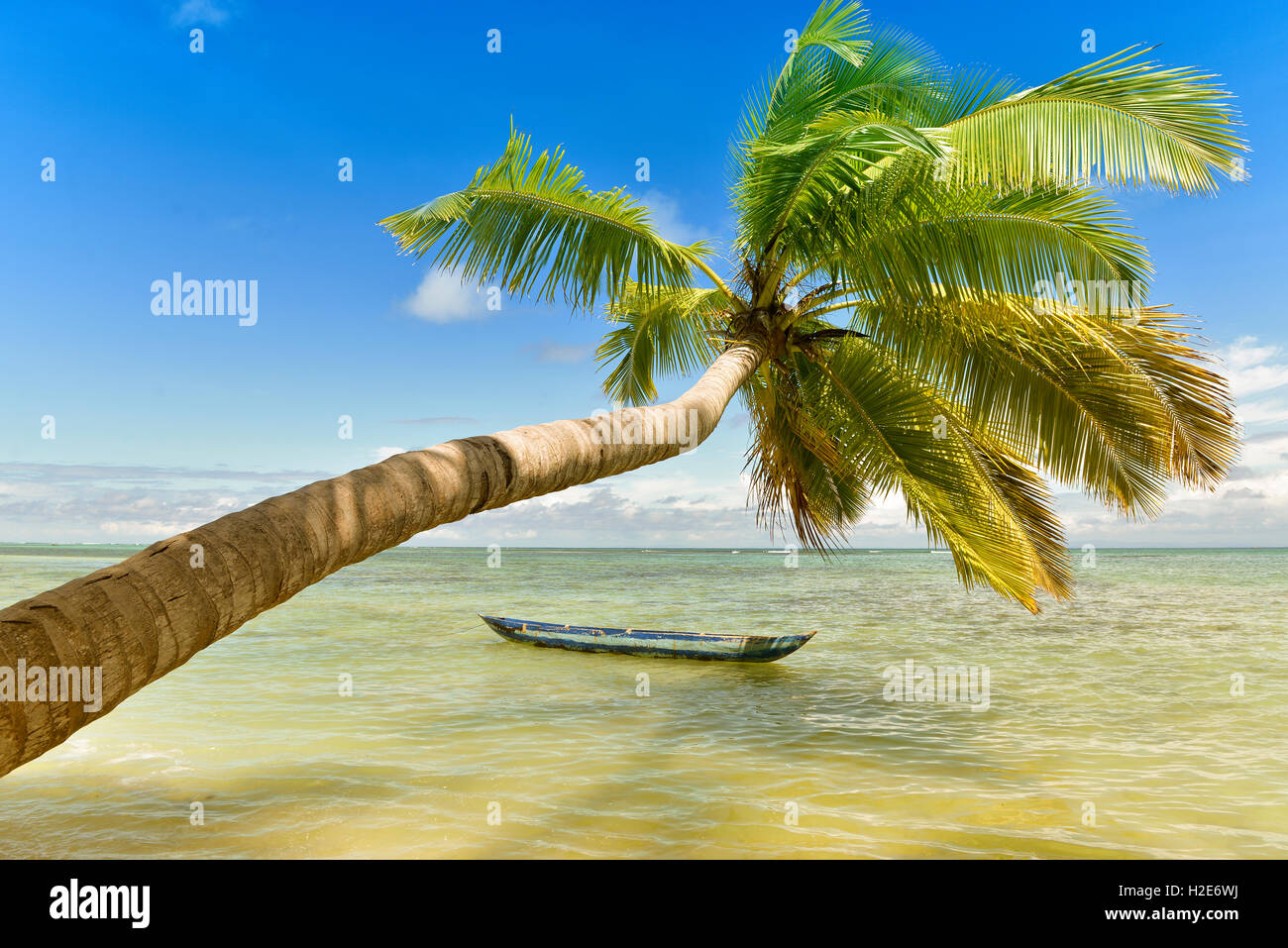 Palm sulla spiaggia, Oceano Indiano, isola di Nosy Nato, Madagascar Foto Stock