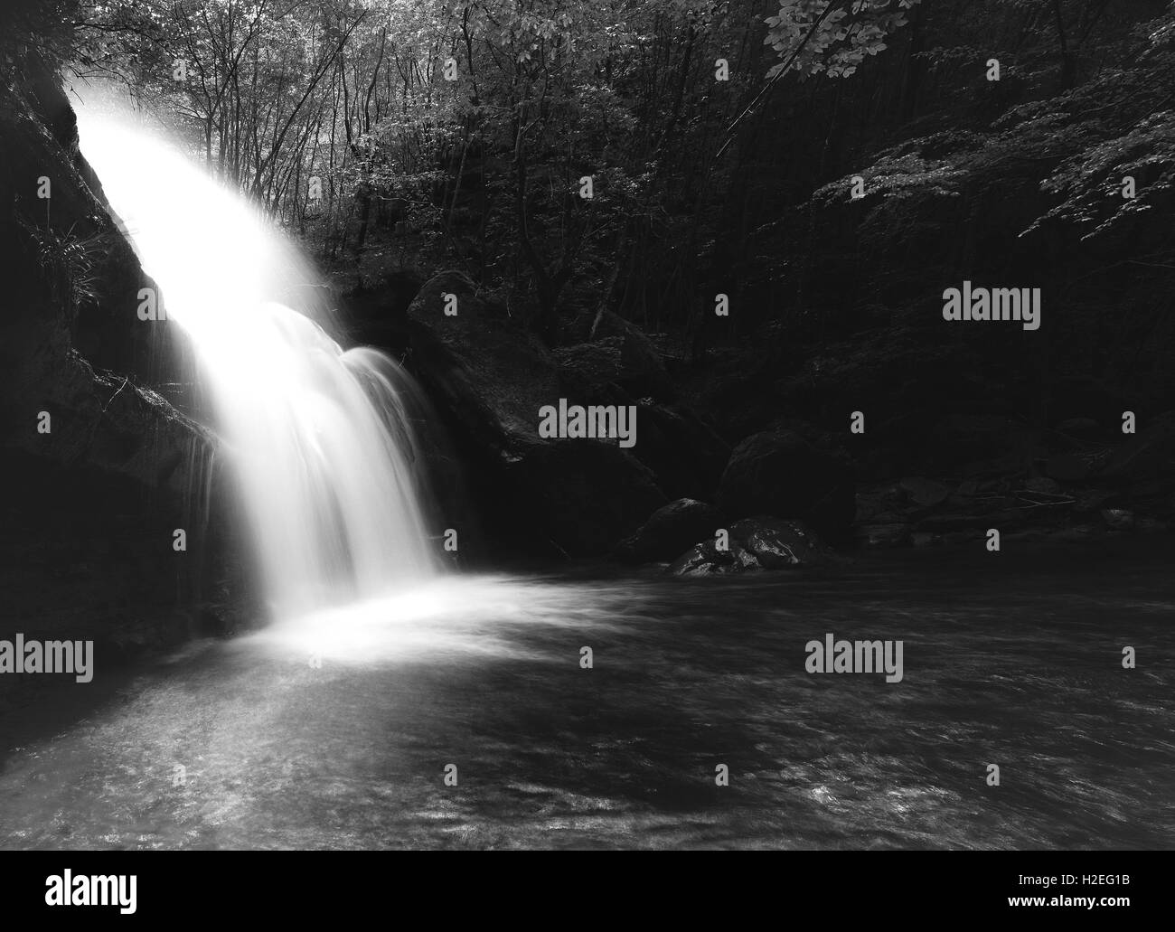 Cascata nella foresta Casentinese,Italia Foto Stock
