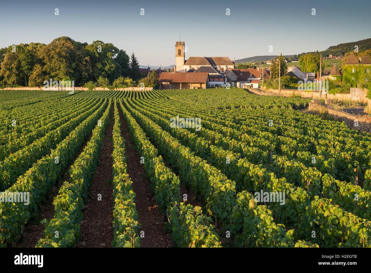 Capanna di vigneti, Beaune, Cote de Beaune. La Borgogna .Francia, Unione Europea, Europa Foto Stock