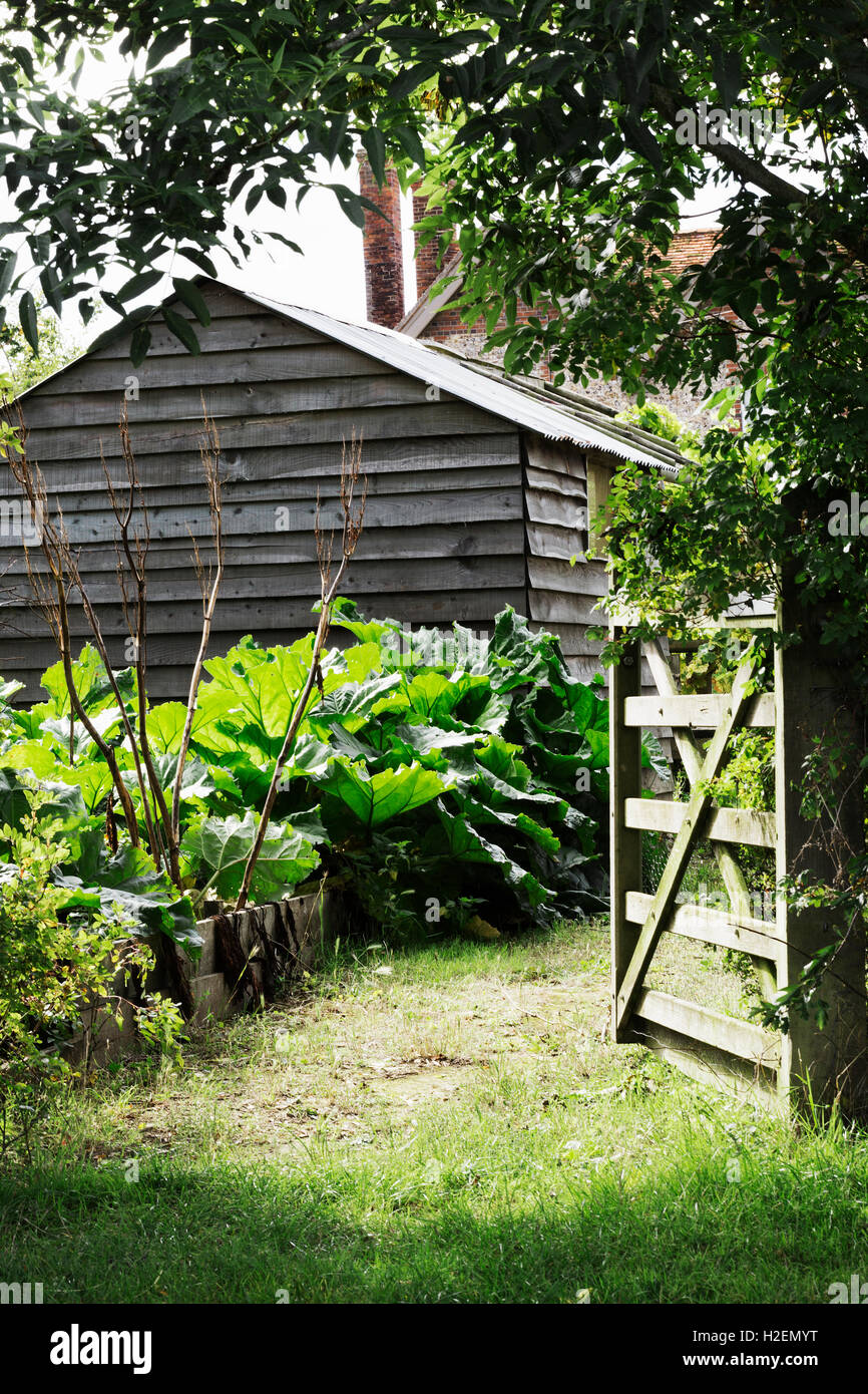 Un cancello aperto e fienile in un maturo giardino con alberi e arbusti. Foto Stock
