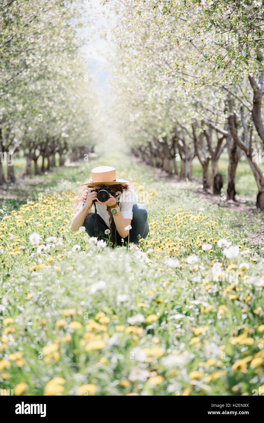 Una donna di scattare fotografie in un frutteto amon g fiori selvatici. Foto Stock