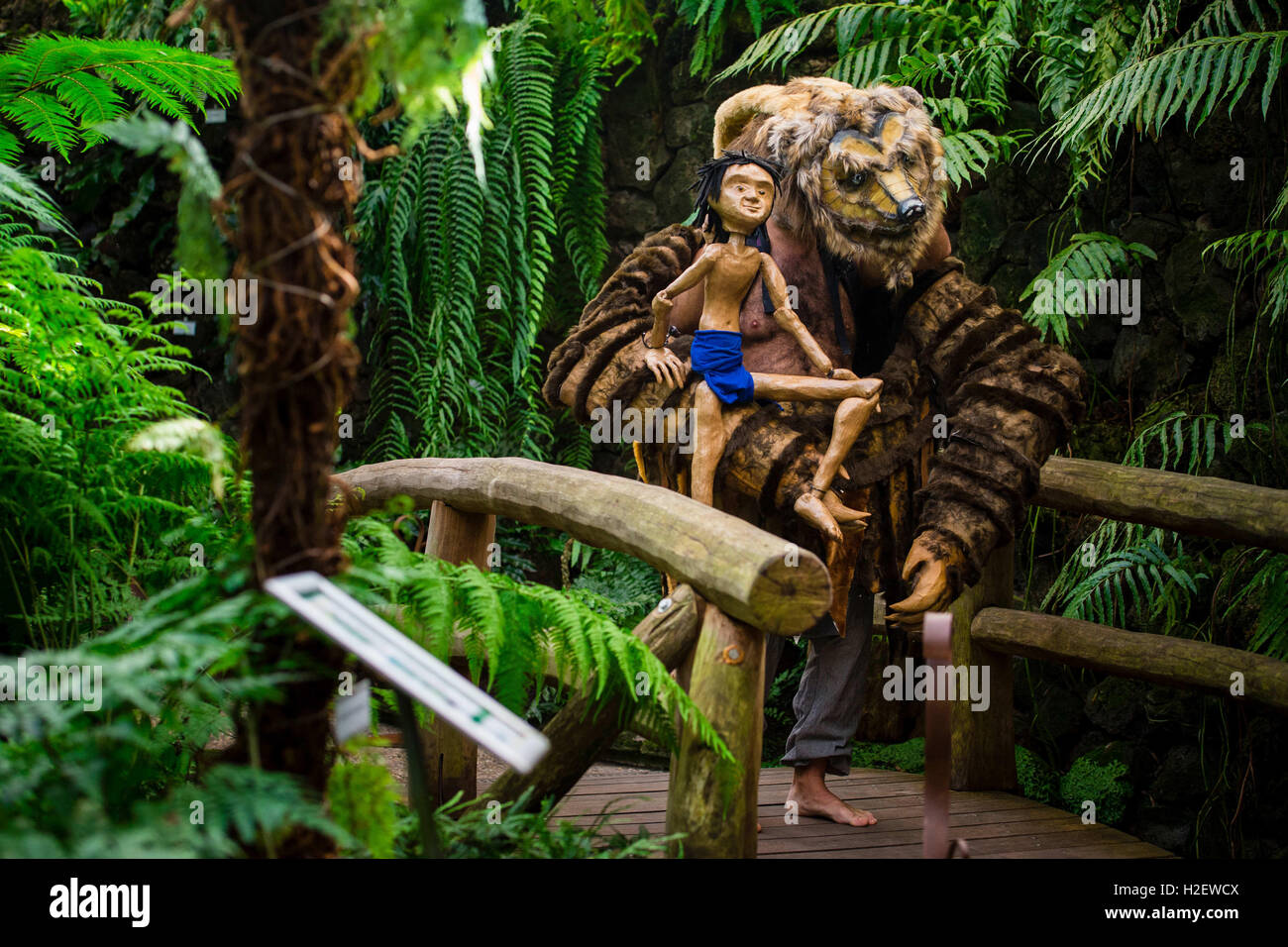Berlino, Germania. Il 27 settembre, 2016. Attore Michele Andrei gioca con una bambola mogli nel suo ruolo come Balu durante una foto prova del gioco teatrale "Il Libro della Giungla' nella serra del giardino botanico di Berlino, Germania, 27 settembre 2016. Il gioco diretto da Lorenz Christian Kohler anteprime a Berlino il 1 ottobre 2016. Foto: GREGOR FISCHER/dpa/Alamy Live News Foto Stock