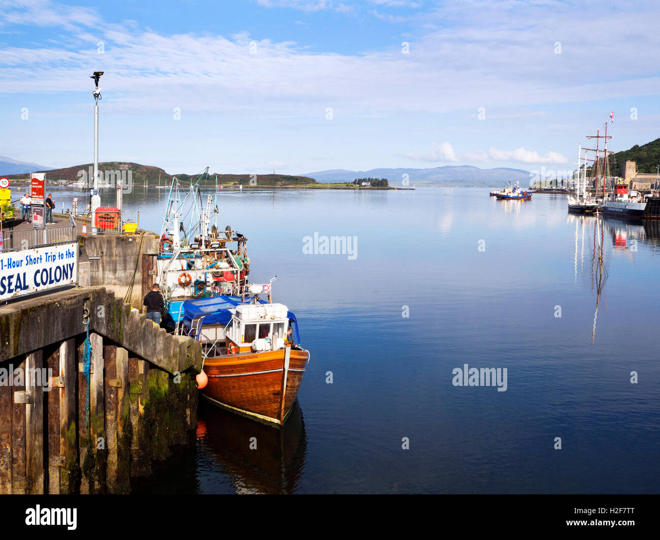 Colonia di Foche viaggio barca a banchina ferroviaria e Oban Bay Oban Argyll and Bute Scozia Scotland Foto Stock