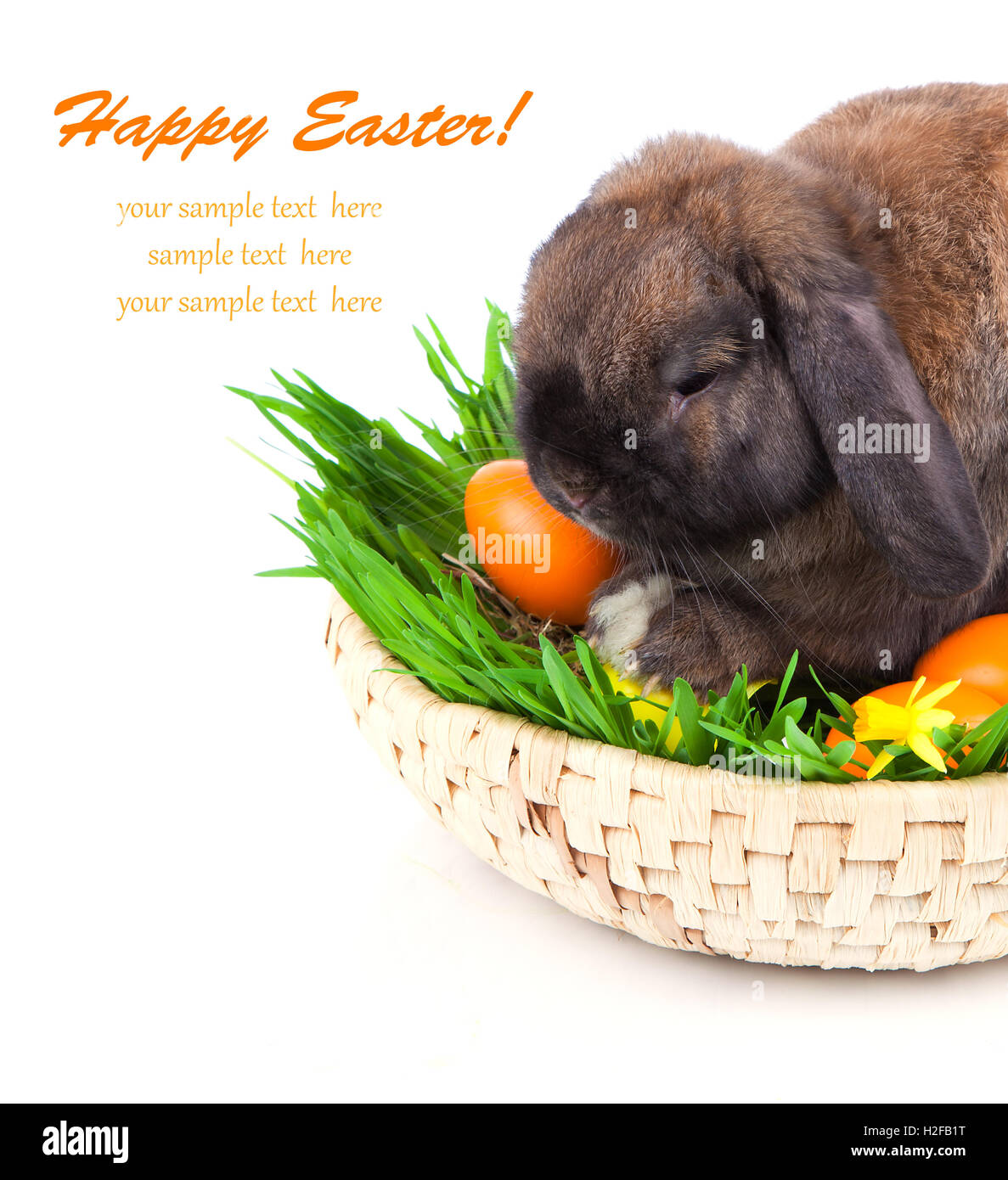 Coniglio in un cestino con uova di Pasqua, su sfondo bianco Foto Stock