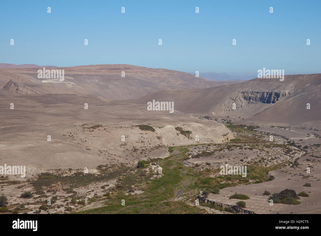 Valle fertile di Atacama Foto Stock