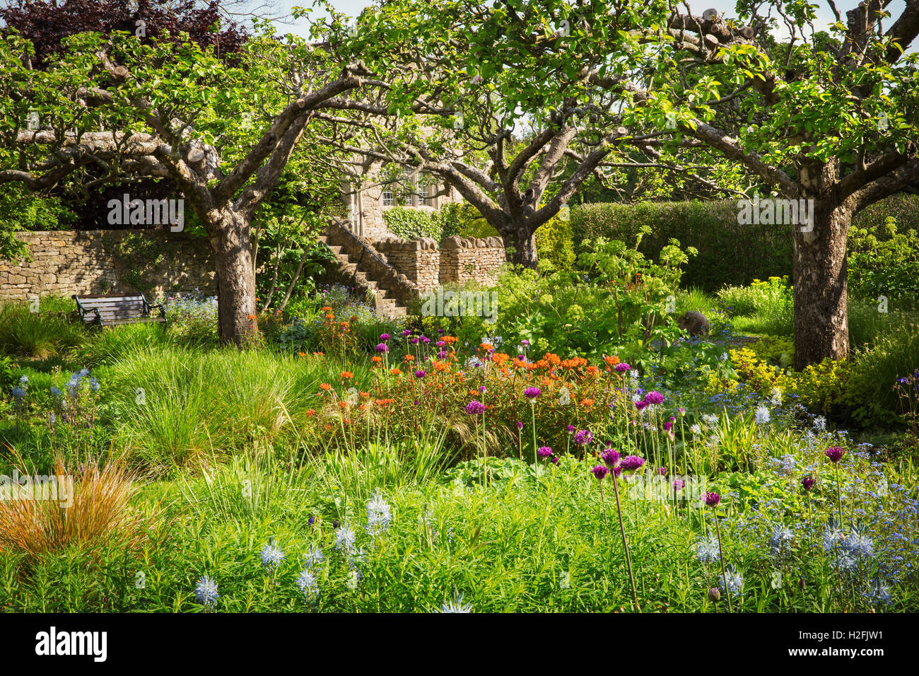 Coppia di arbusti e piante in fiore di un confine. Alberi. Foto Stock