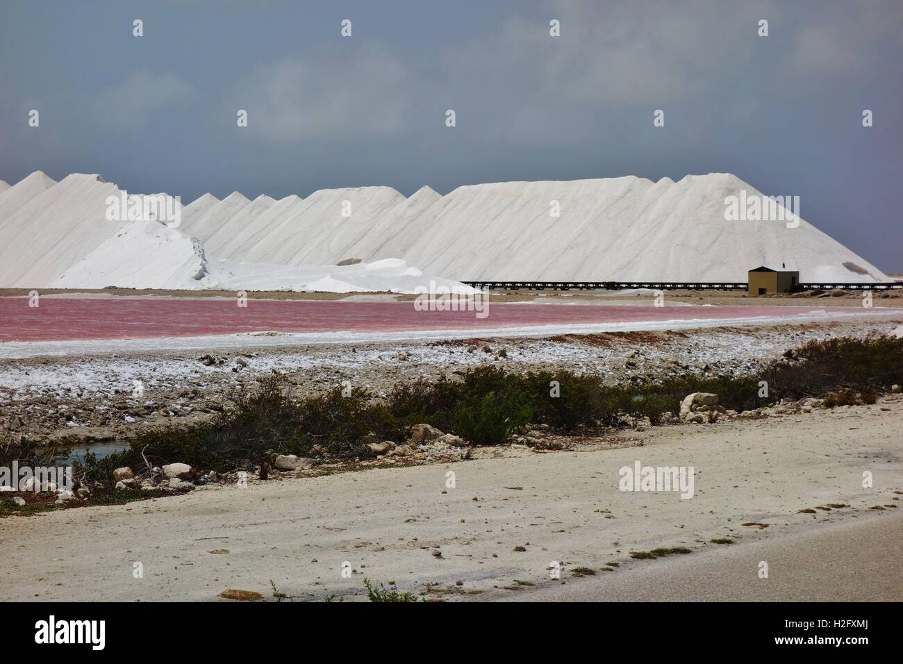 Pile di colore rosa e bianco sale marino di Bonaire Foto Stock