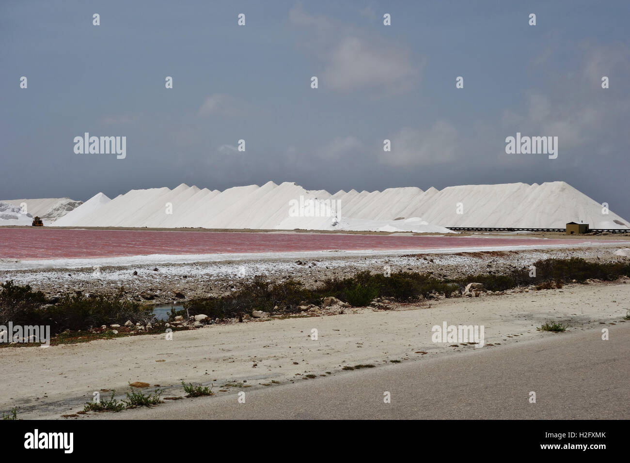 Pile di colore rosa e bianco sale marino di Bonaire Foto Stock