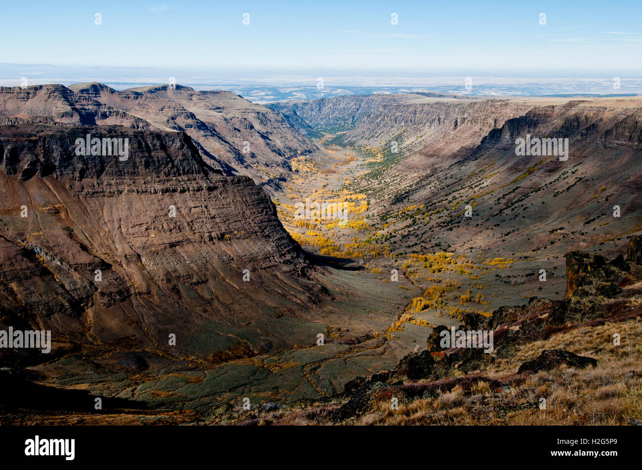Colore di autunno in grande gola indiano, Steens Mountain, Oregon Foto Stock