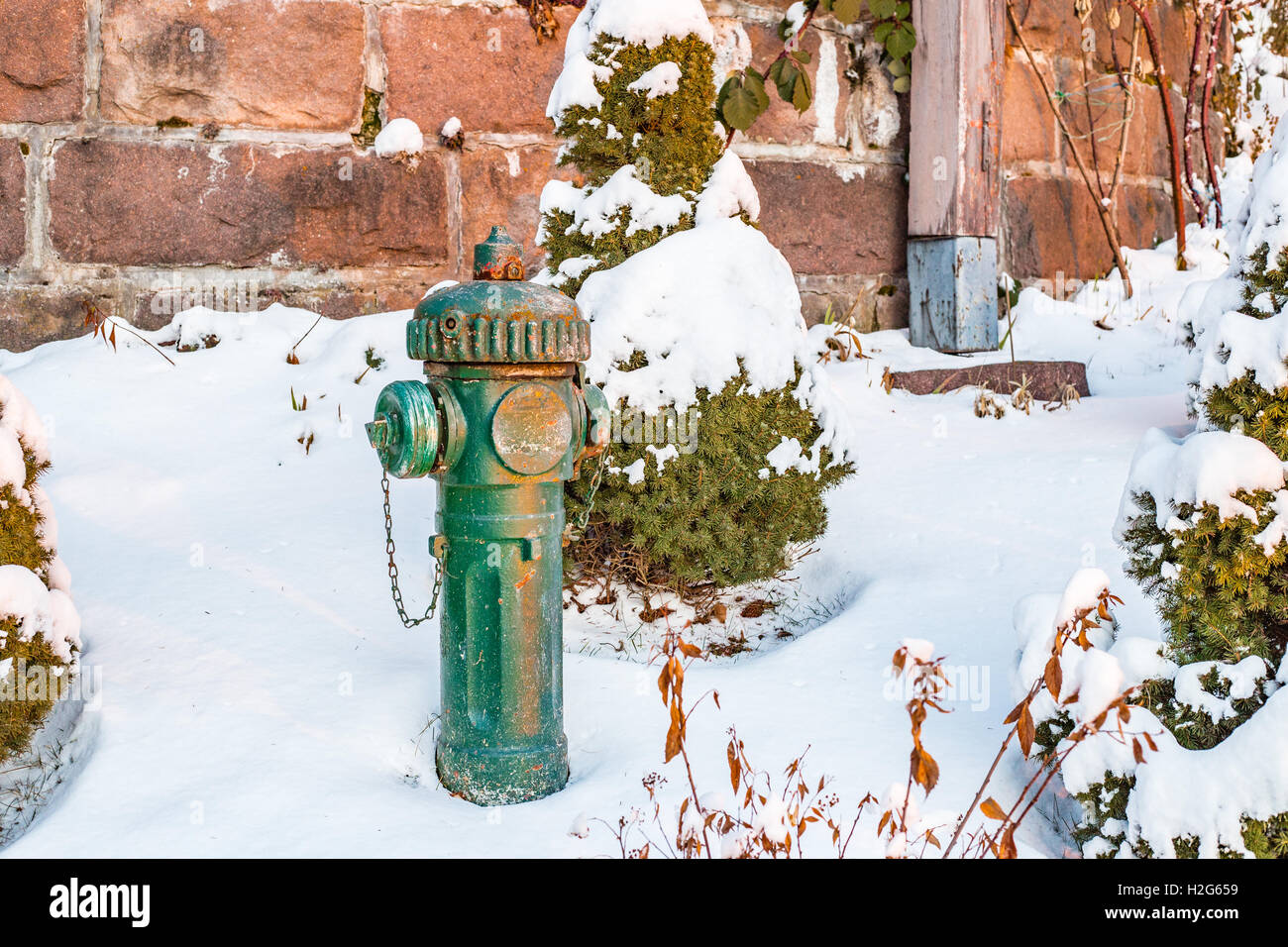 Idrante verde nelle Snowy rock garden Foto Stock