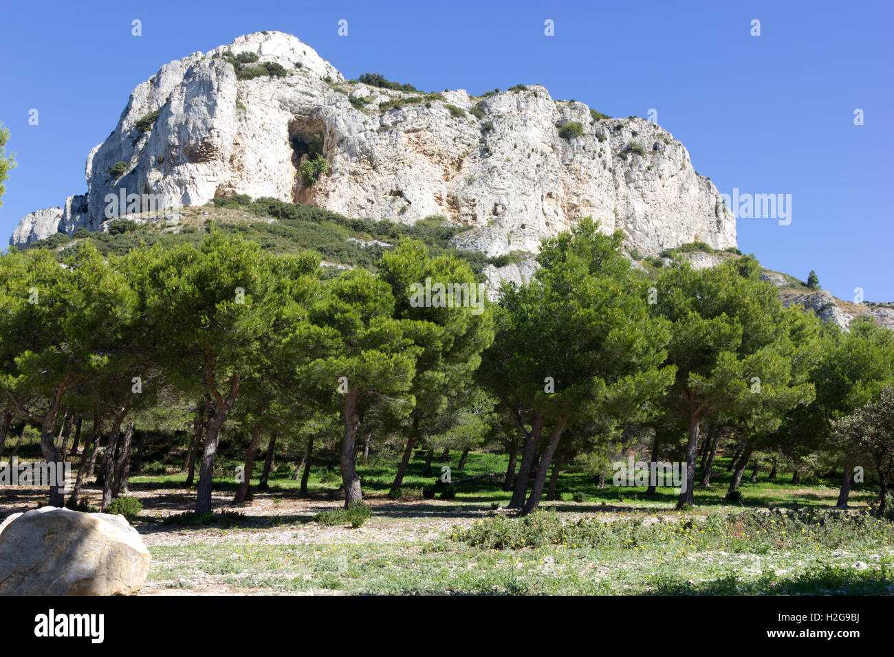 Sperone gessoso in Provenza, Francia Foto Stock