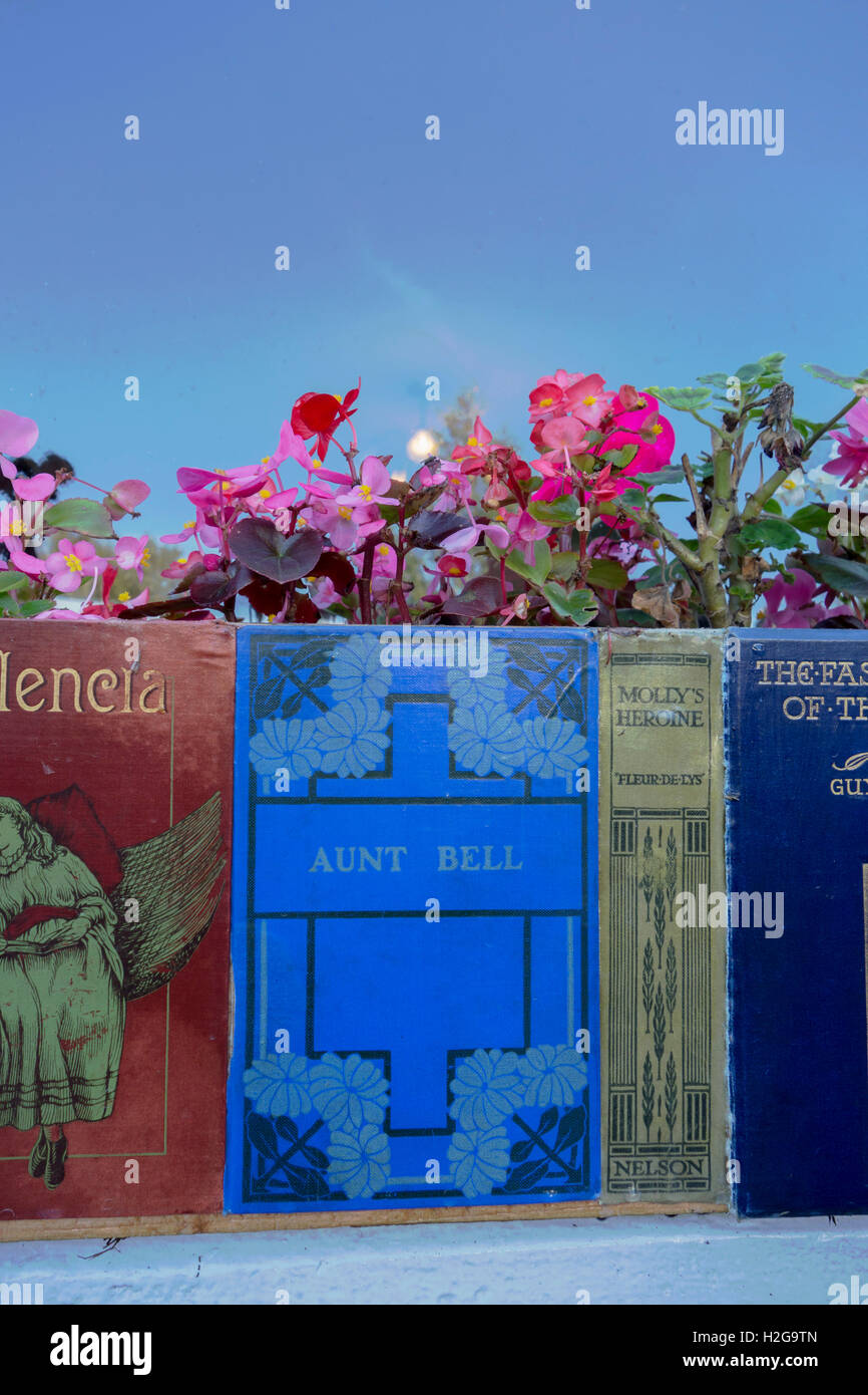 Finestra fioriera coperto con spine e copertine di libri. Sulla finestra di un bookshop nel libro città di Wigtown, Scozia. Foto Stock