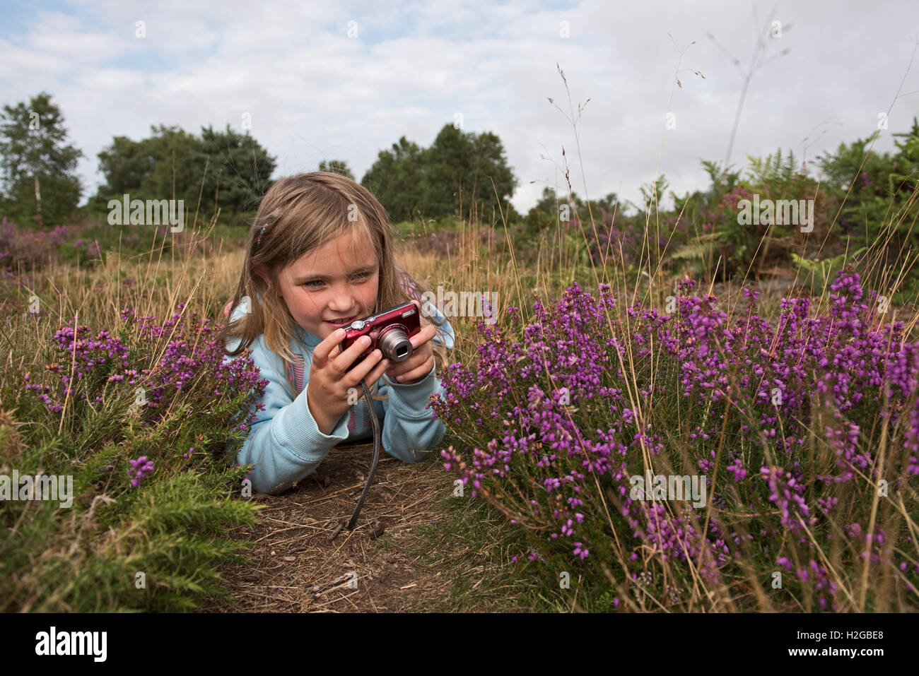 Ragazza giovane fotografa heather su heath, Kelling Heath Norfolk estate Foto Stock