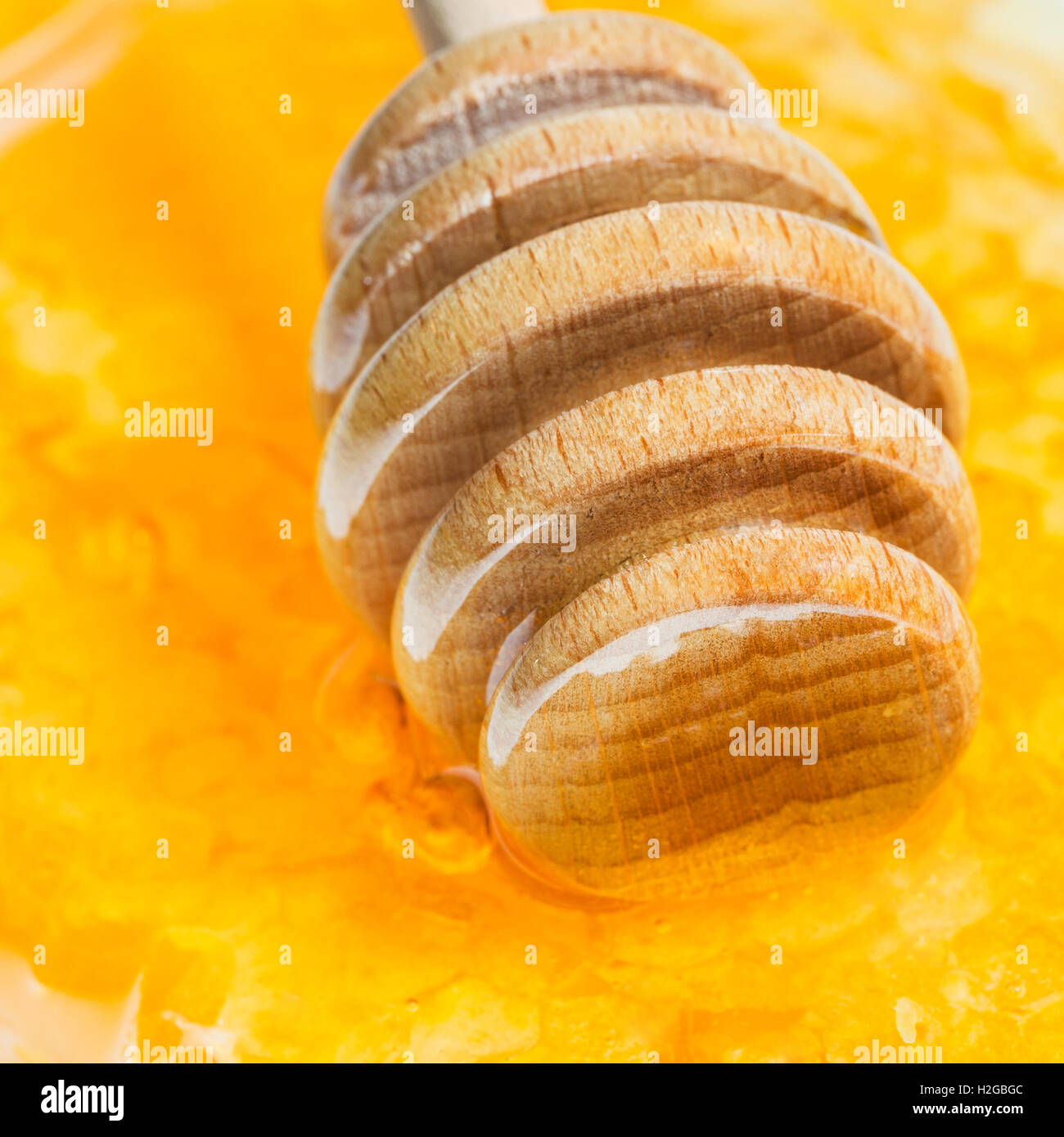 Il miele in legno stick sulla superficie del miele close up Foto Stock