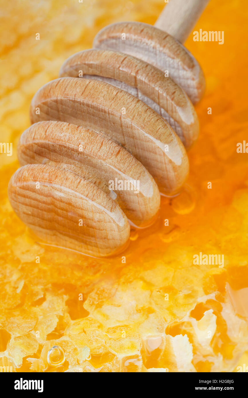 Il miele in legno stick sulla superficie del favo di miele Foto Stock
