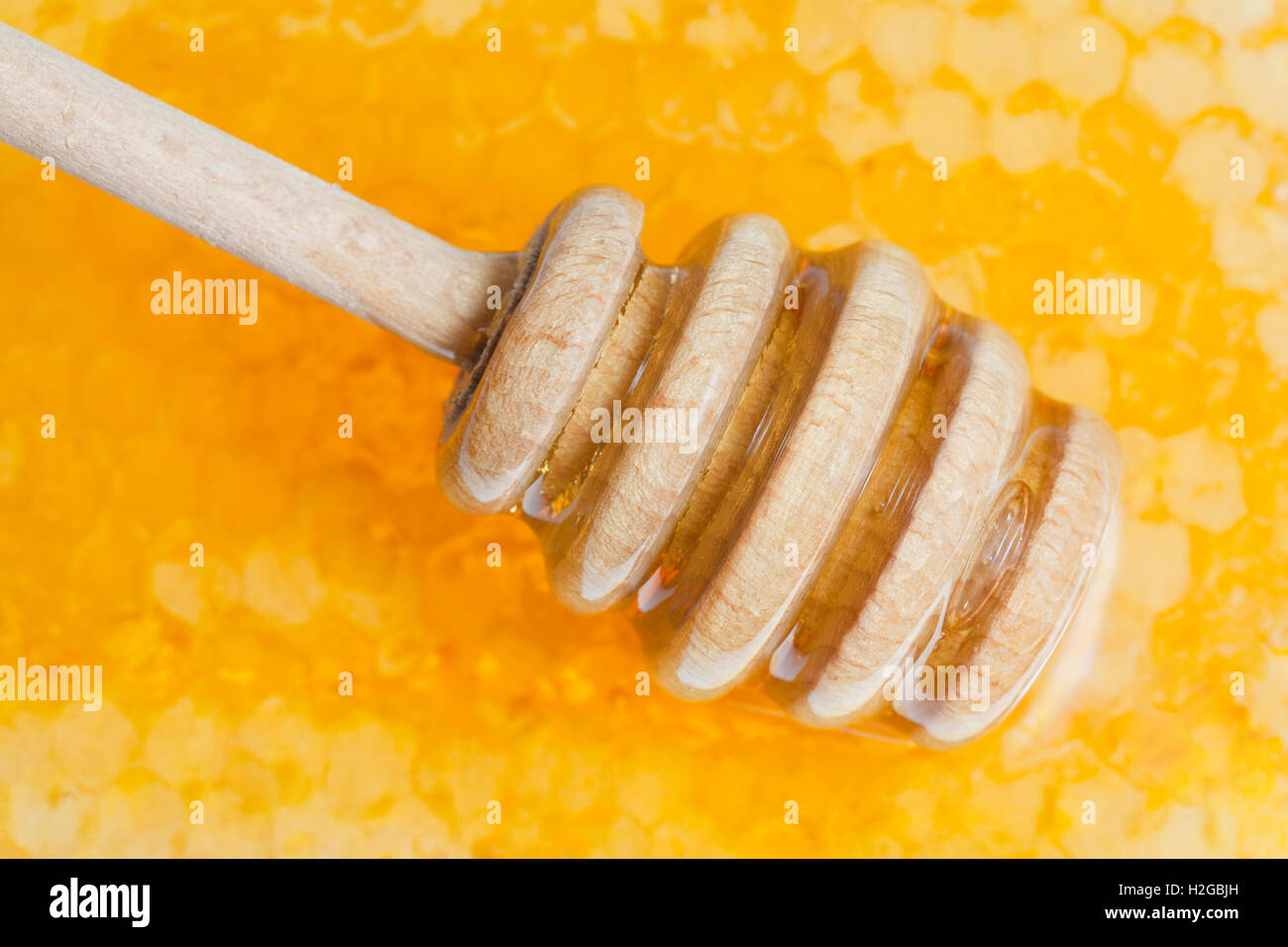 Il miele in legno stick sulla superficie del miele fresco close up Foto Stock