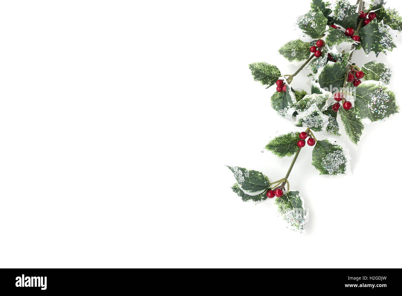 Agrifoglio artificiale ramo con frutti - Ilex aquifolium Foto Stock