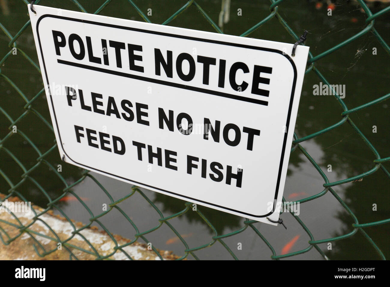 Segno a stagno di pesci 'educati avviso - si prega di non nutrire i pesci". Foto Stock