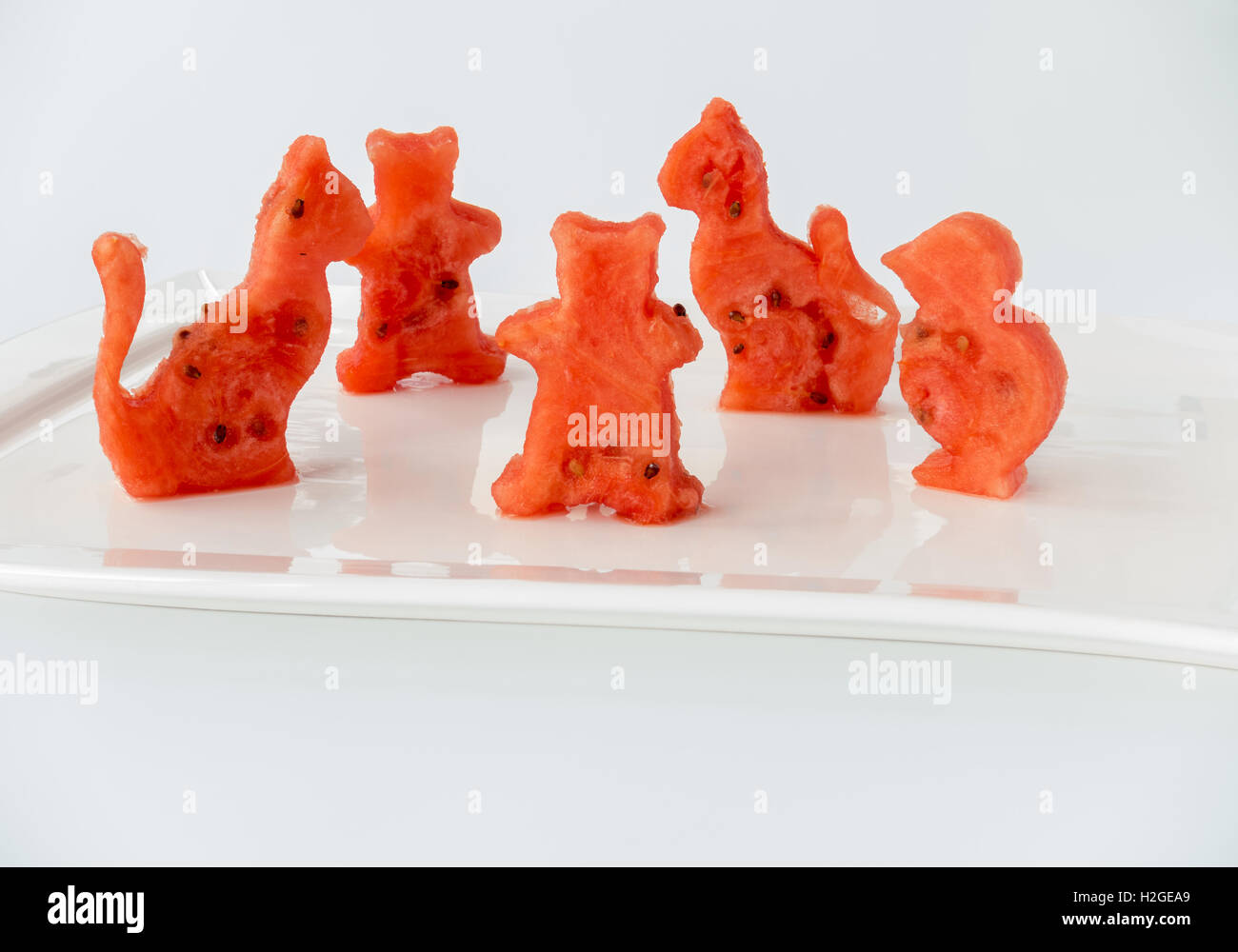 Animali tagliato fuori di cocomero Foto Stock