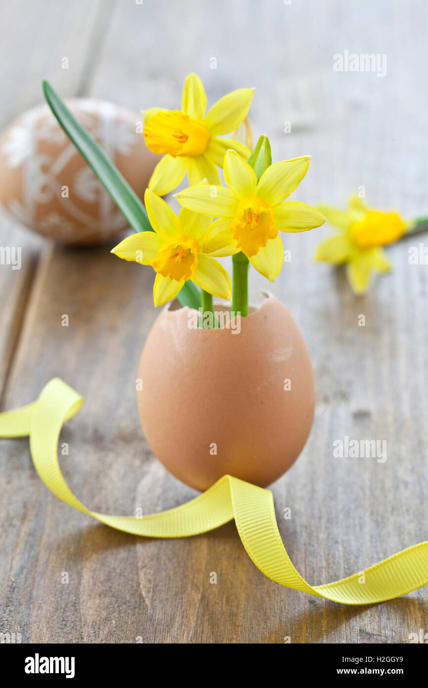 Narciso giallo nel guscio delle uova Foto Stock