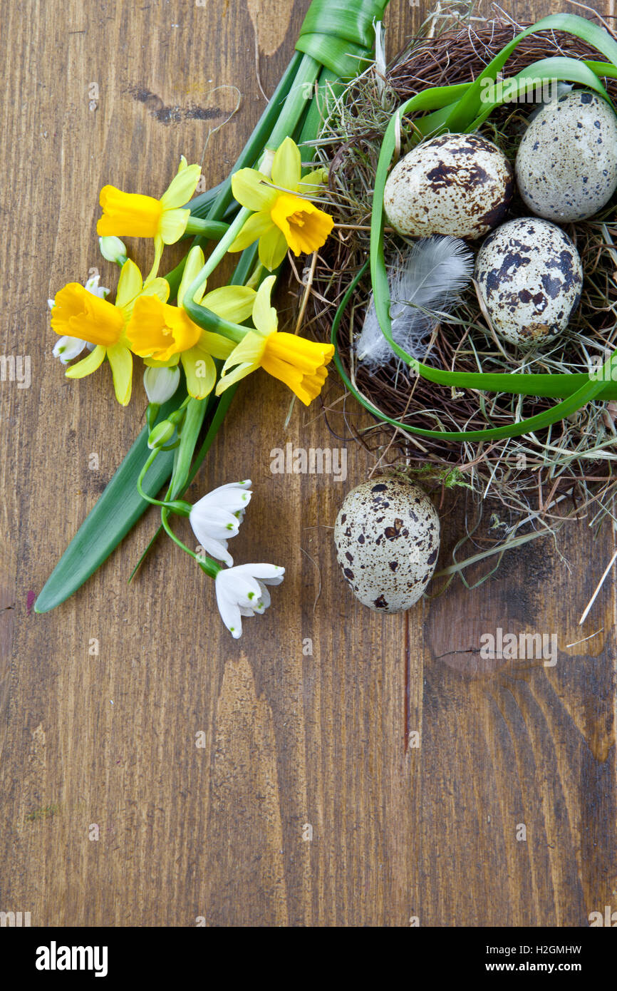 Fiori freschi e un nido di pasqua Foto Stock