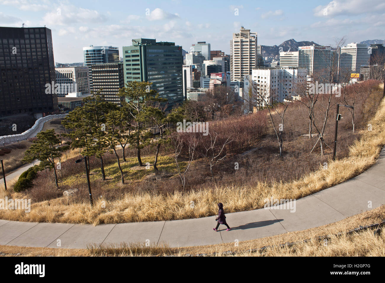 Una donna fa una passeggiata nel centro cittadino di Seoul, Corea del Sud. Foto Stock
