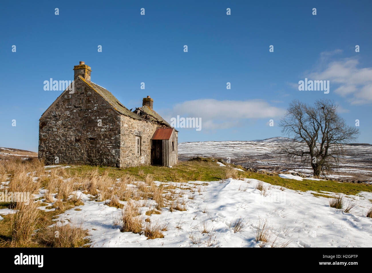 Disabitata e abbandonata abbandonati costruito in pietra agriturismo cottage in Pitlochry Scozia UK Foto Stock