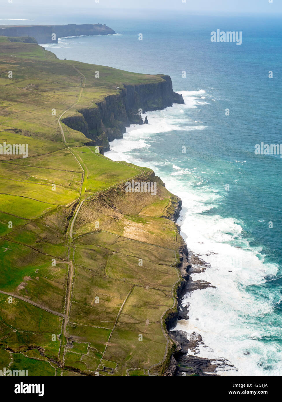 Scogliere di Moher, coste rocciose, County Clare, Irlanda Foto Stock