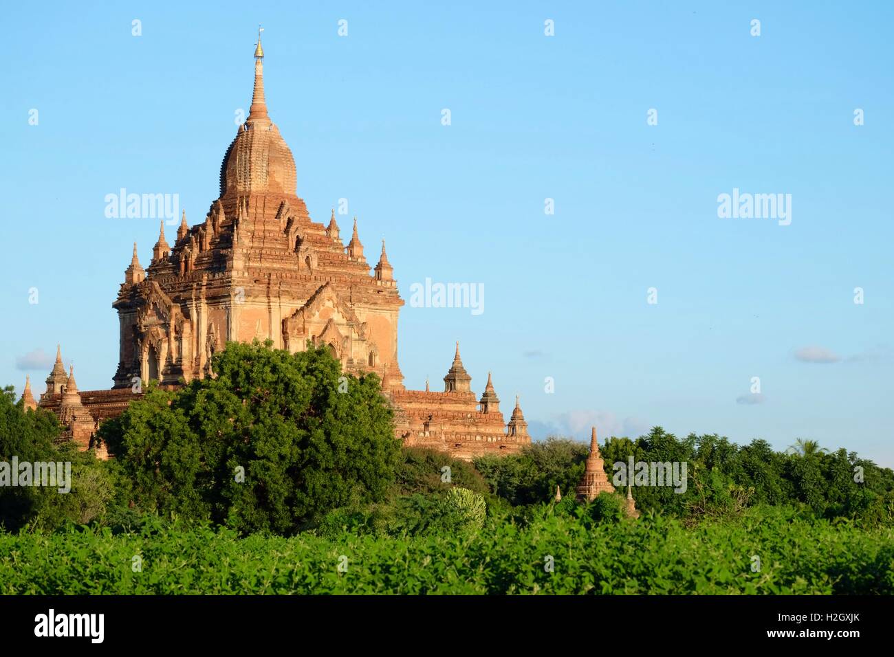 Bagan tempio - Birmania Foto Stock