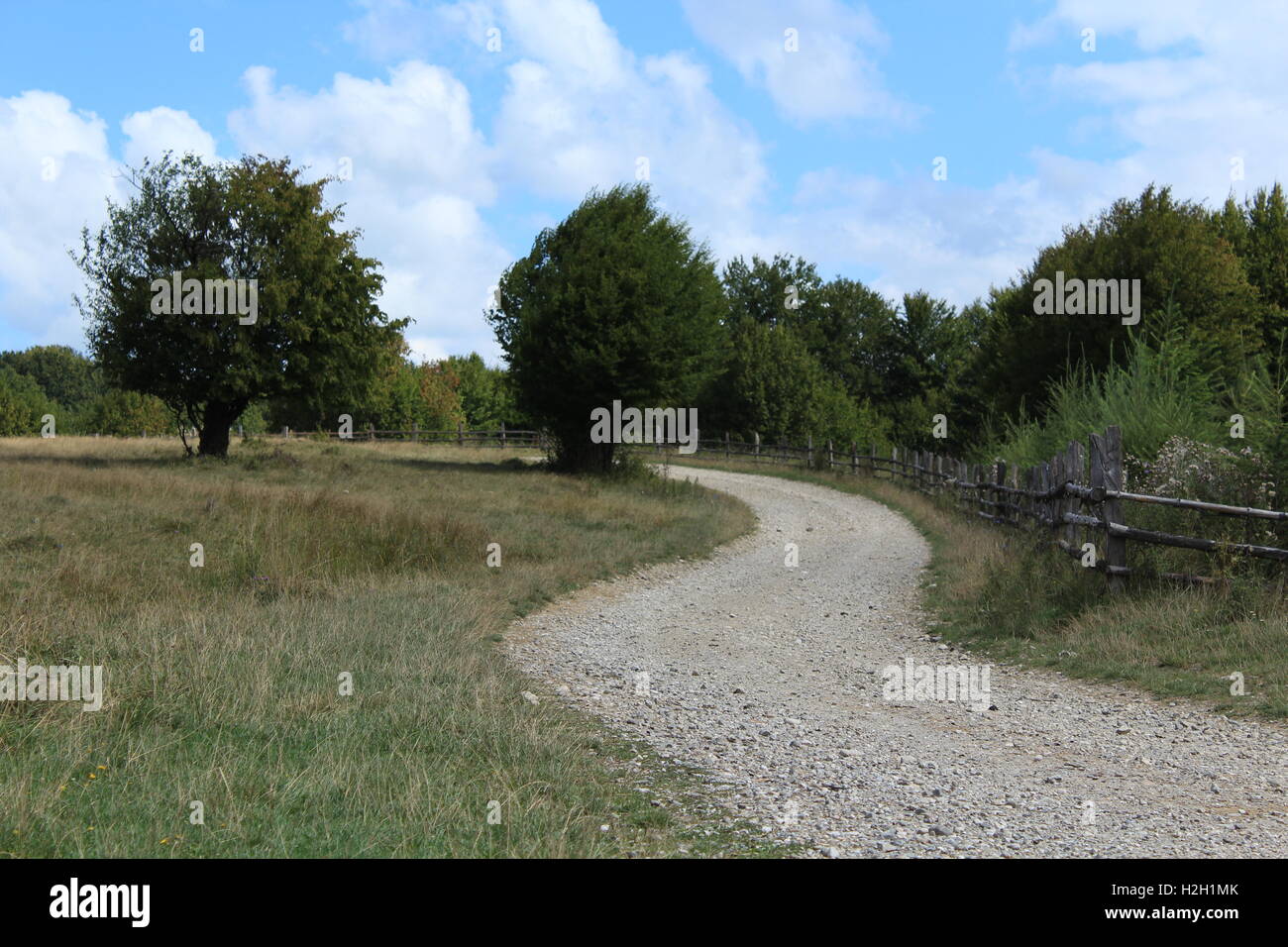 strada sinuosa Foto Stock