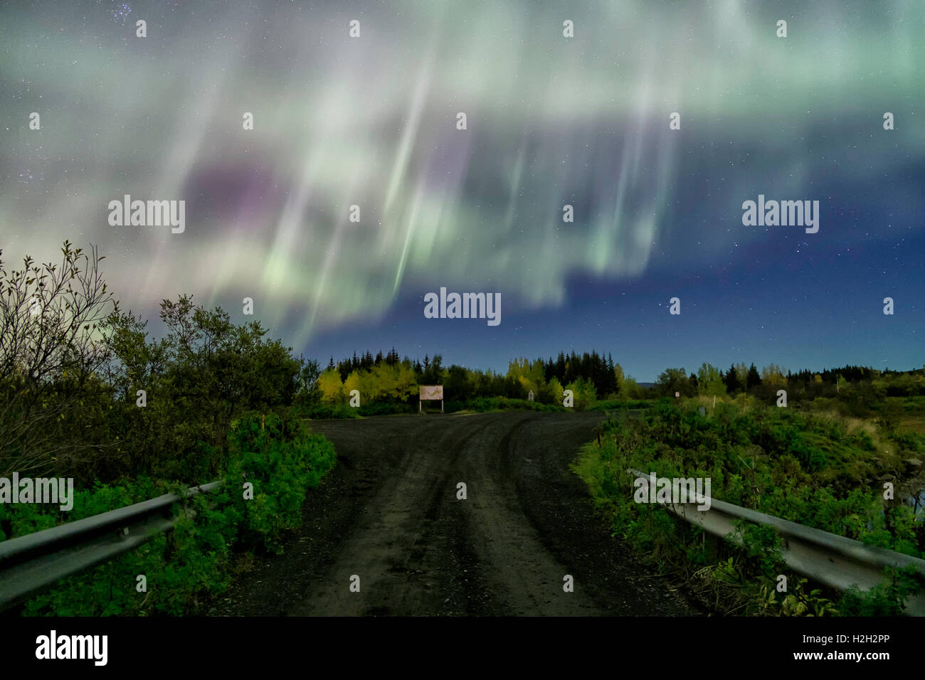 Auroras over Eillidavatn vicino a Reykjavik in Islanda. acqua calma che riflettono le luci del nord sfolgorante nel cielo. Foto Stock