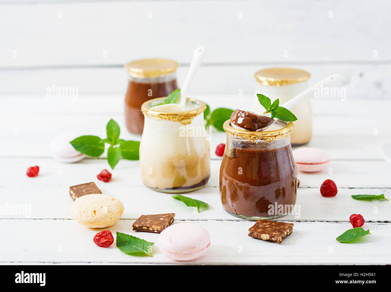 Cioccolato e vaniglia panna cotta (dessert) Foto Stock
