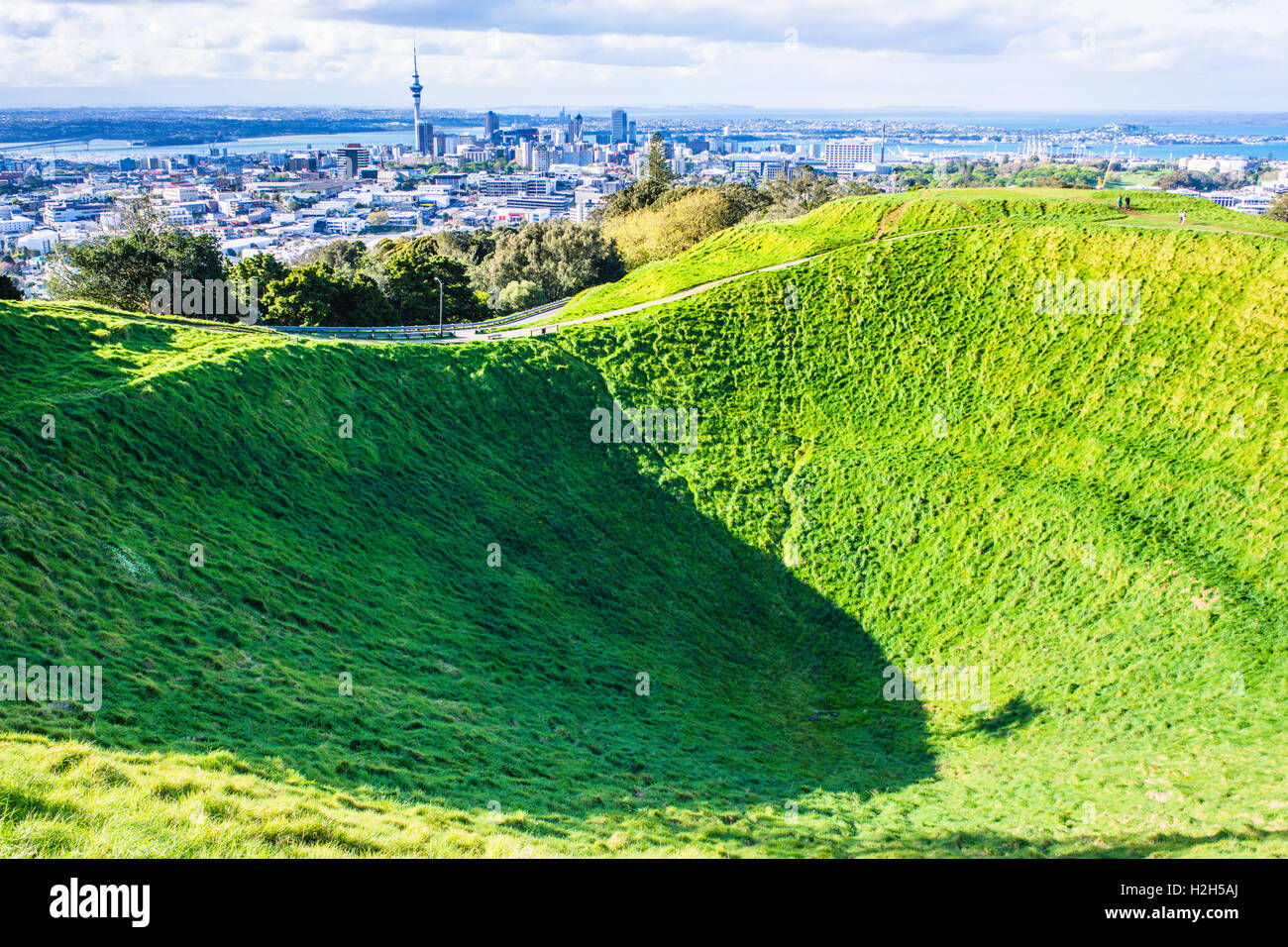 Vista panoramica sulla sommità del monte Eden, Mauri Santuario, con erba gigante pit Foto Stock