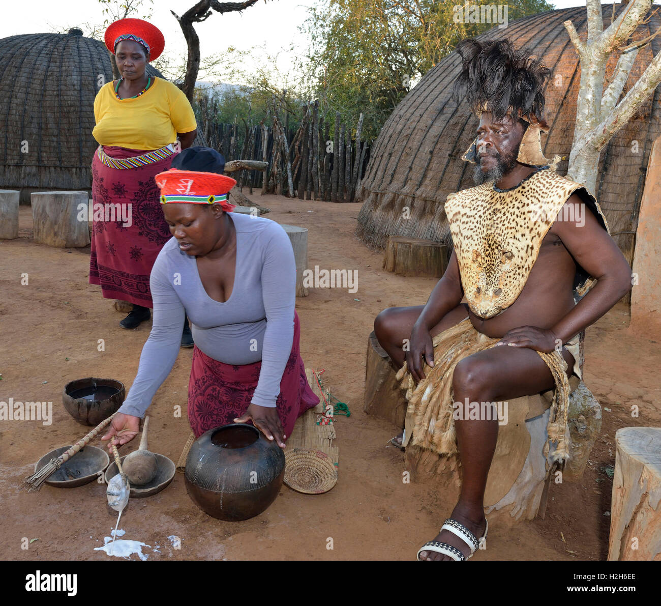 Shakaland Zulu troupe membri re-enacting Zulu vita domestica - servendo amasi (latte arricciato), con il re Zulu seduto. Eshowe, Sudafrica Foto Stock