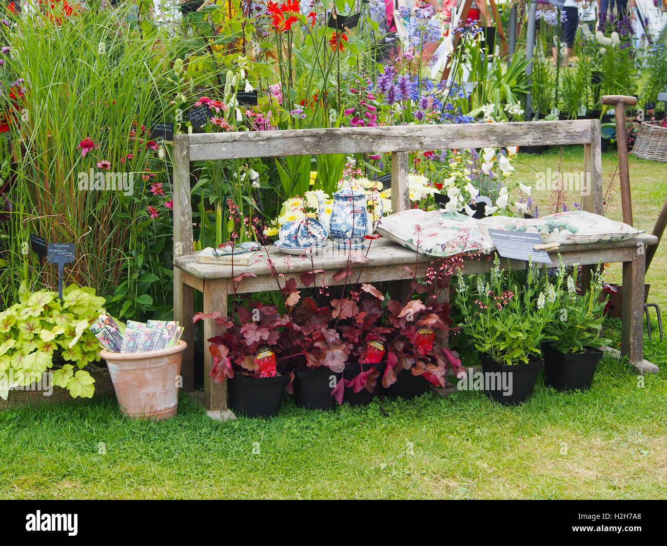 Parte della mostra allestita da canonica piante da giardino - un vivaio in Cheshire - al Tatton Park Flower Show, Cheshire, 2016. Foto Stock