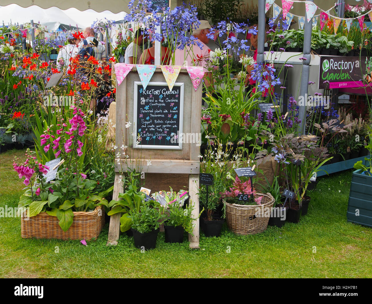 Mostra allestita da canonica piante da giardino - un vivaio in Cheshire - al Tatton Park Flower Show, Cheshire, 2016. Foto Stock