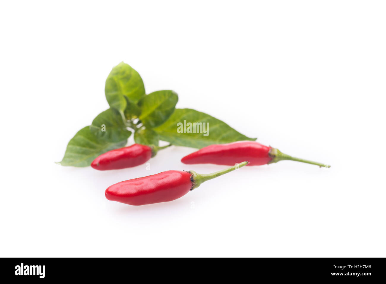 Spicy Hot Chili Peppers su sfondo bianco Foto Stock