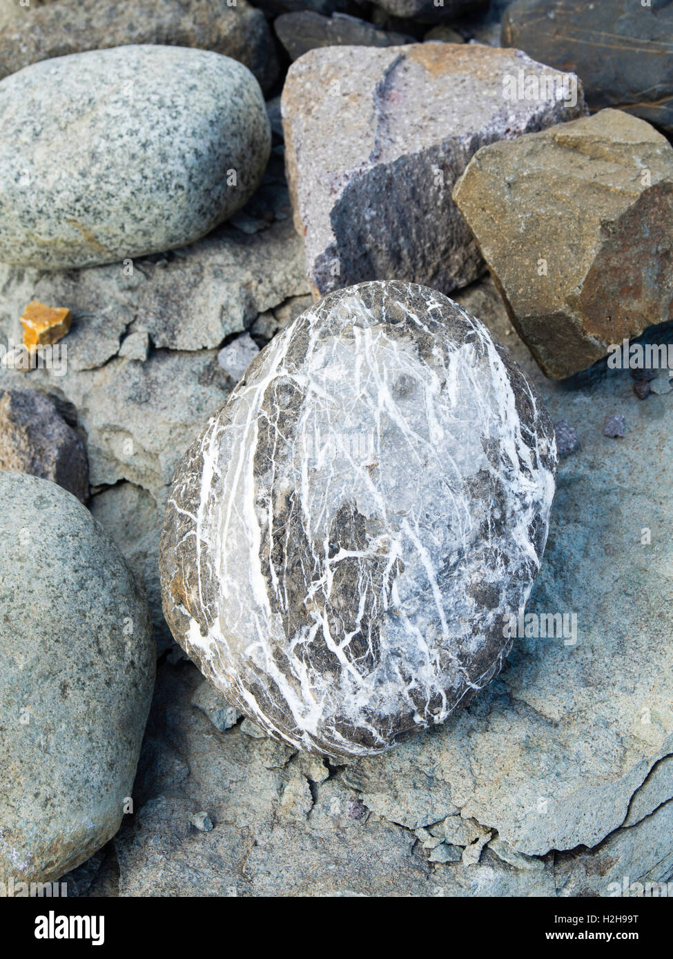 Dettaglio di un ghiacciaio di ciottoli, vicino McCarthy, Alaska. Foto Stock