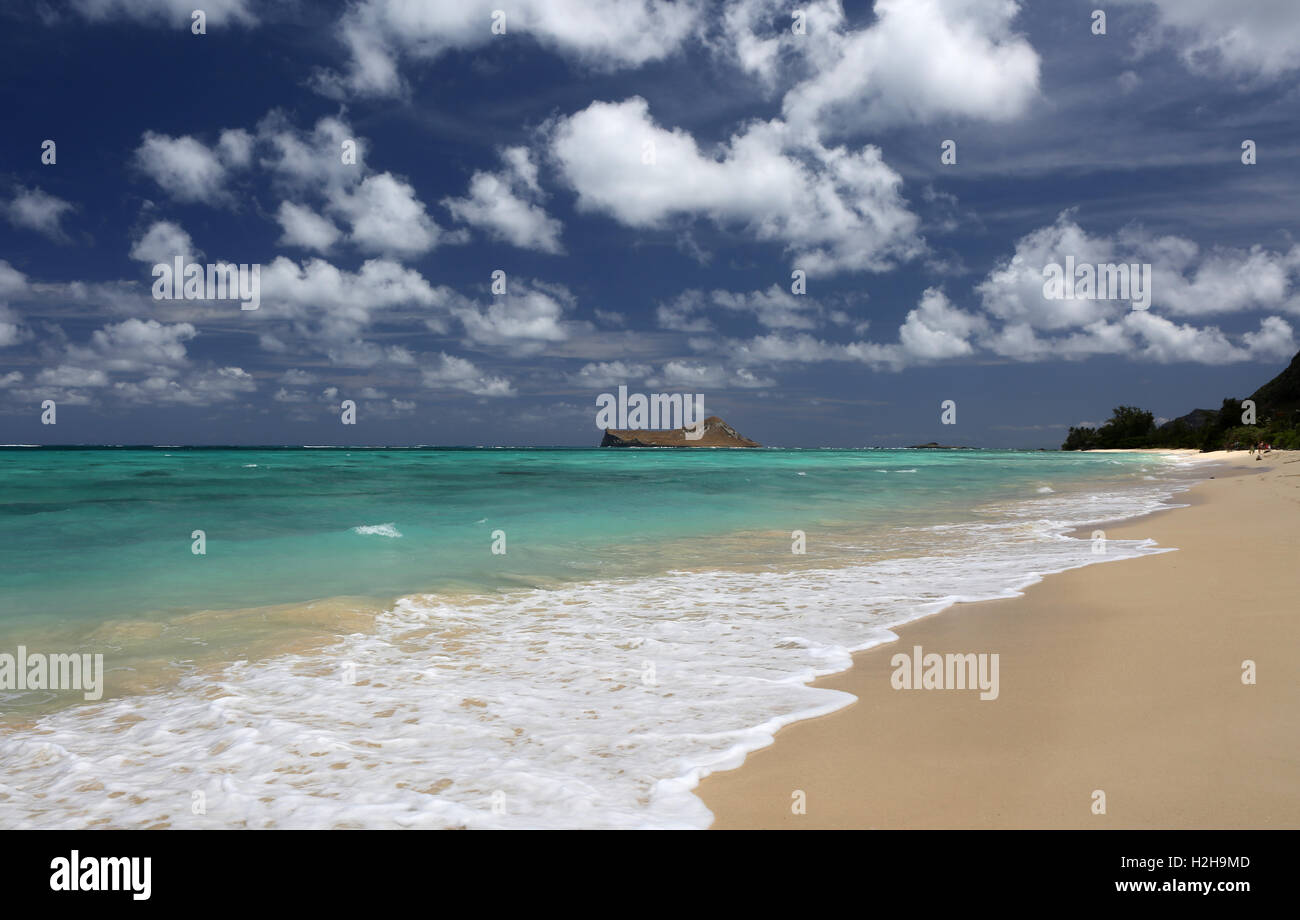 Tropical Beach sull'isola di Oahu, Hawaii Foto Stock