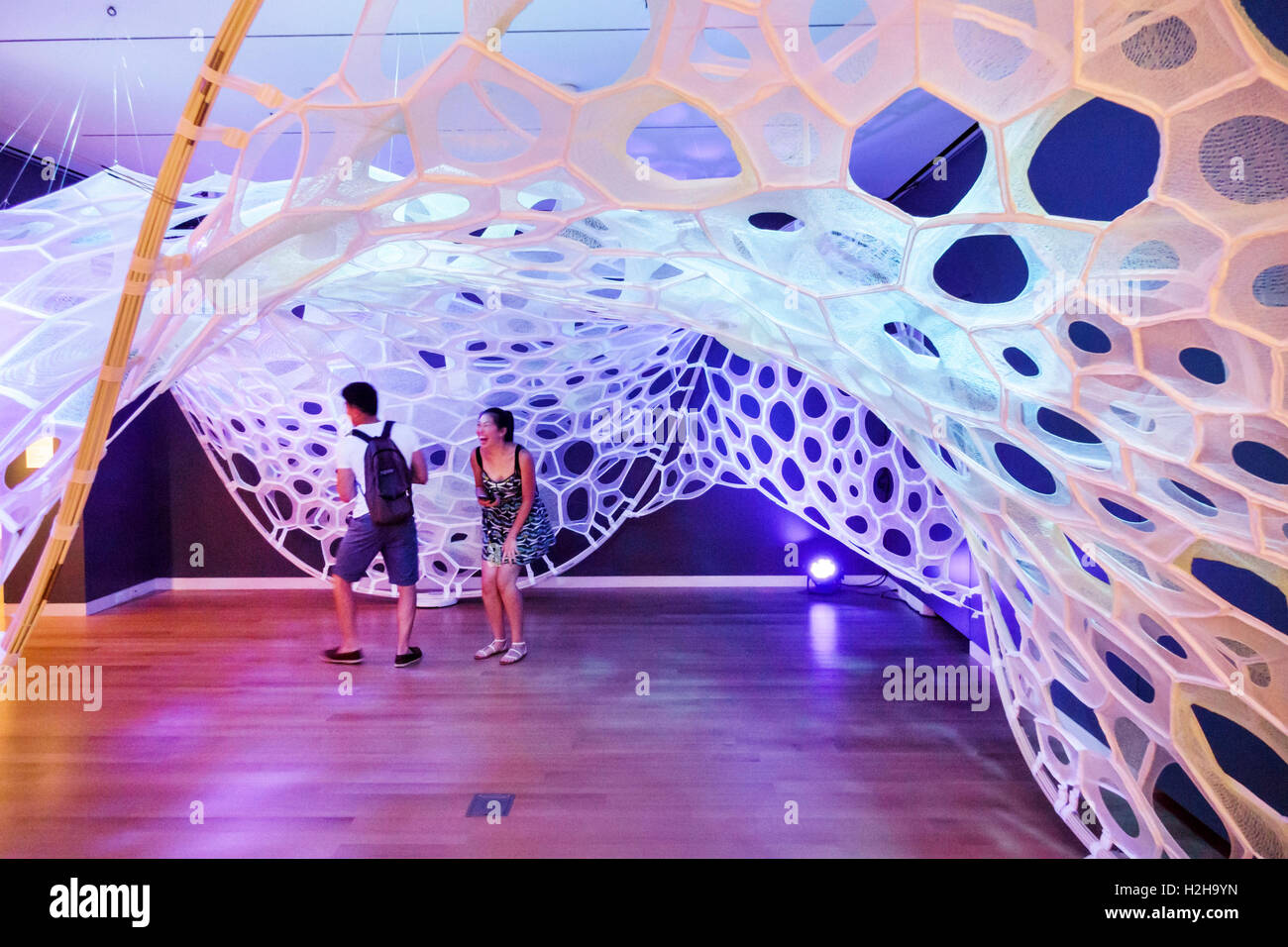 New York City,NY NYC Manhattan,Upper East Side,Carnegie Mansion,Landmark,Cooper Hewitt,Design Museum,Exhibition collection Exhibition,Polythread Foto Stock