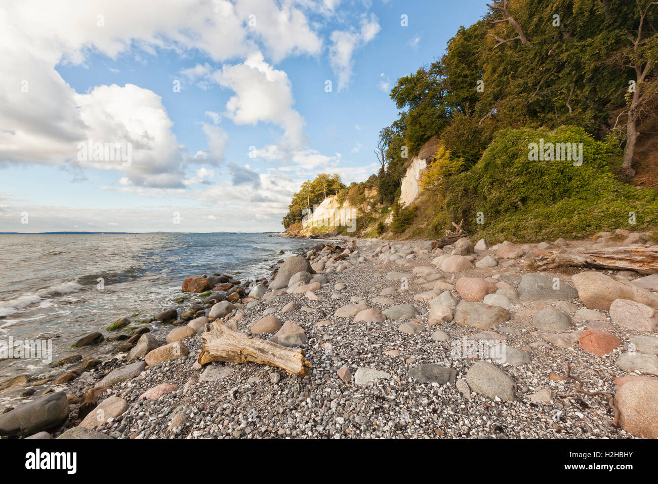 Chalk scogliere a Jasmund National Park, Rügen, Germania Foto Stock