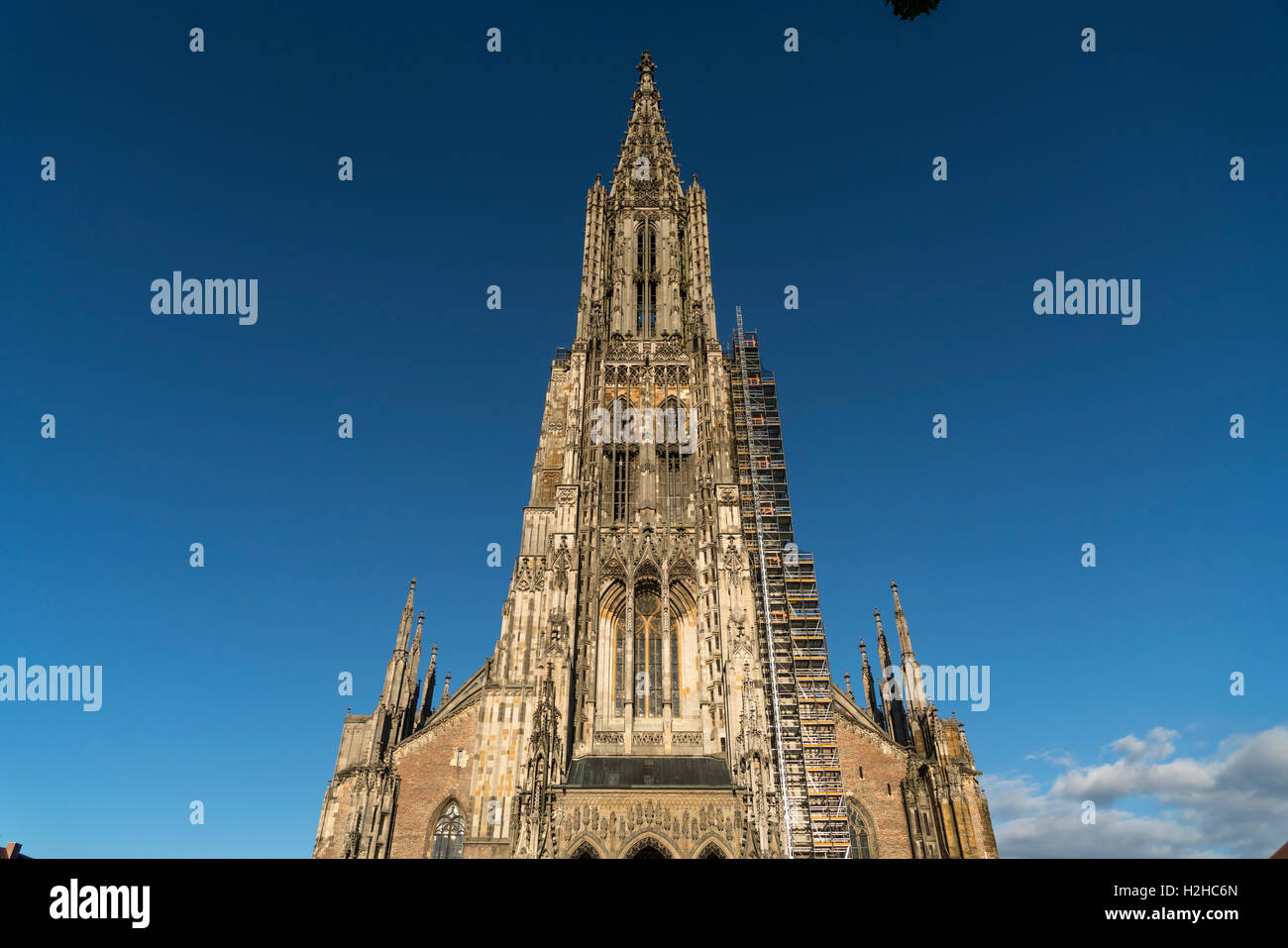 Ulm Minster, Ulm, Baden-Württemberg, Germania, Europa Foto Stock