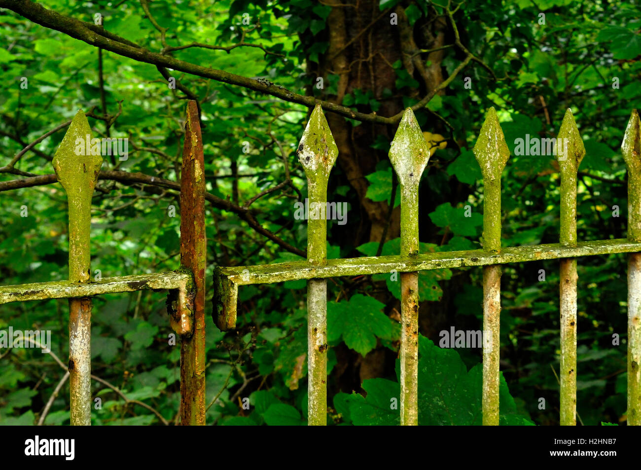 vecchia ringhiera Foto Stock