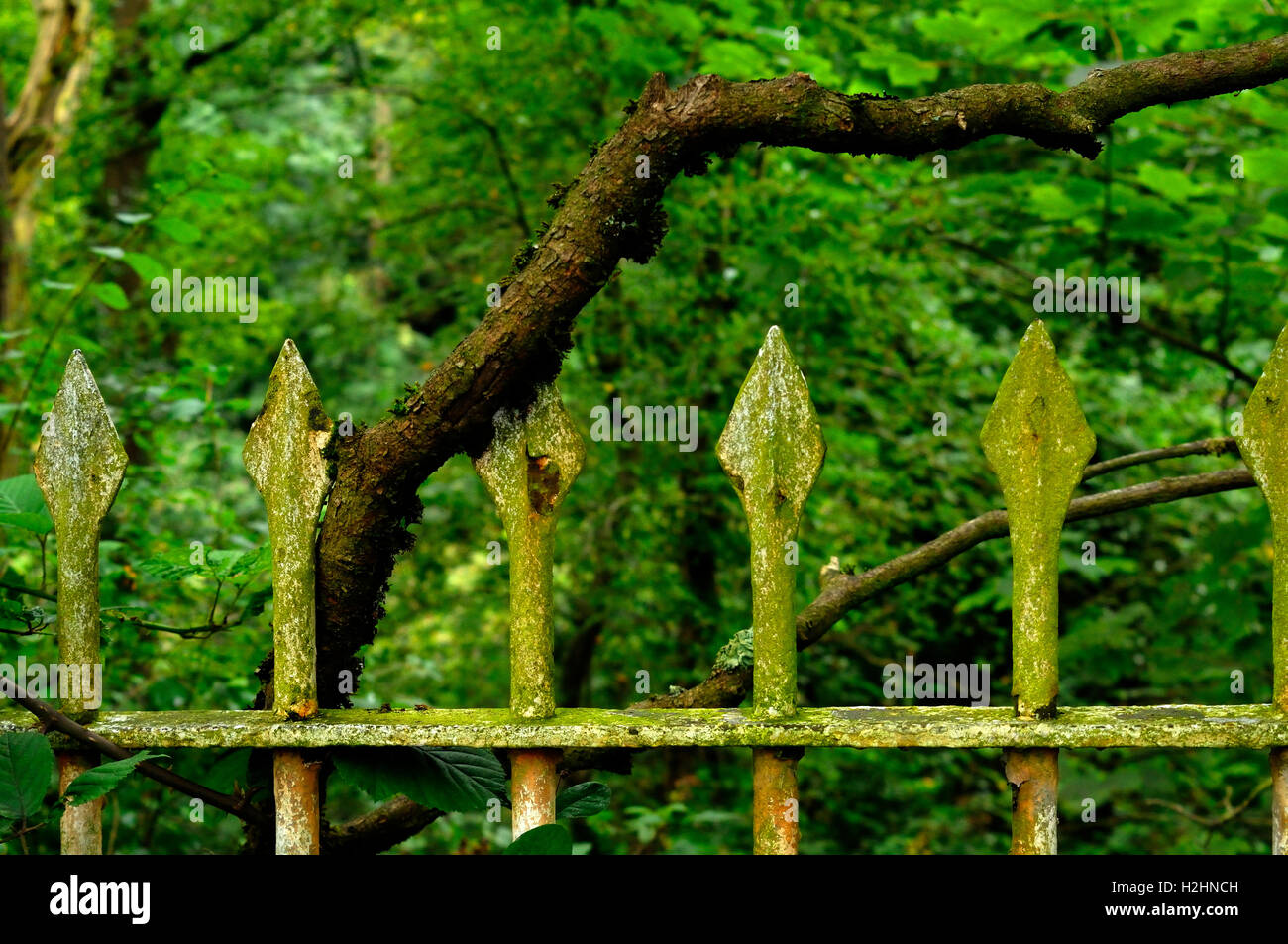 vecchia ringhiera Foto Stock